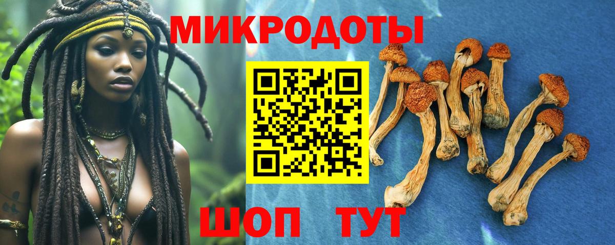 Одинцово  Галлюциногенные грибы прущие грибы  Вход с VPN  Псилоцибиновые грибы Psilocybe 