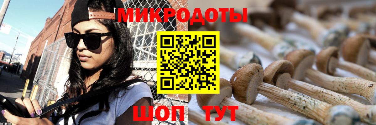 Галлюциногенные грибы Psilocybe Одинцово